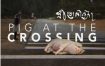 [夸克网盘]不丹电影《十字路口的猪》（2024）剧情 豆瓣7.5