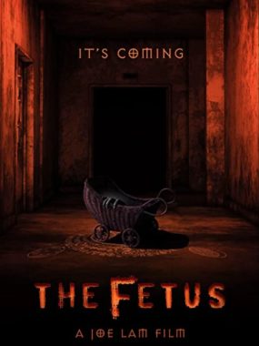 [夸克网盘]美国电影《胎儿》（2025）喜剧 / 恐怖