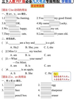 三年级下英语必备九大考点专题精练《人教版PEP》