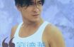 刘德华 1993年专辑《你是我的梦》Flac无损音质重温经典