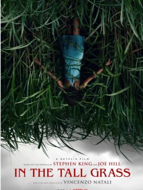 [夸克网盘]加拿大电影《高草丛中》（2019）剧情 / 惊悚 / 恐怖 豆瓣6.5