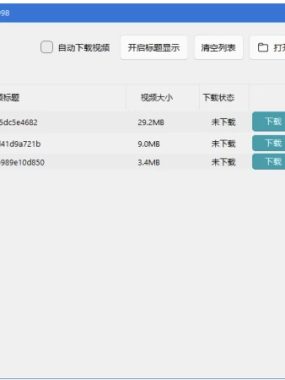 微信视频号下载工具 v251203 中文绿色版，支持直播回放、直播流